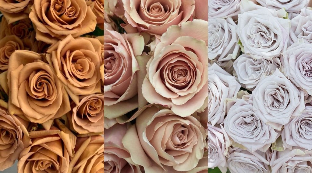  プレート2種　ROSE HIP/GLEN MIST プレート2種 ROSE HIP/GLEN MIST WEDGWOOD プレート2種 ROSE HIP/GLEN MIST