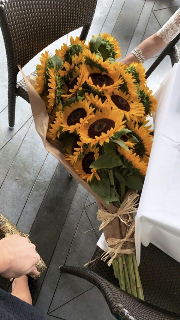 All about Sunflower