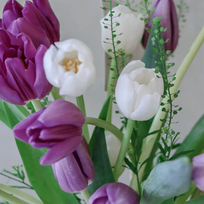 Tulips in Vase