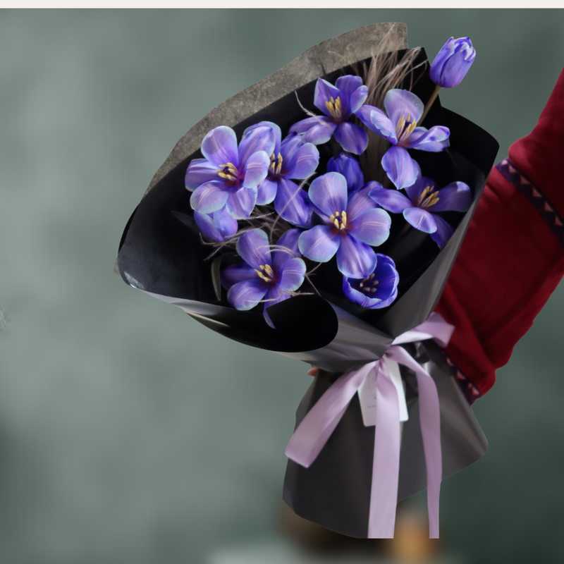 Lavendula