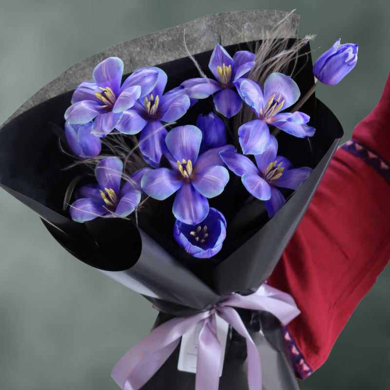 Lavendula
