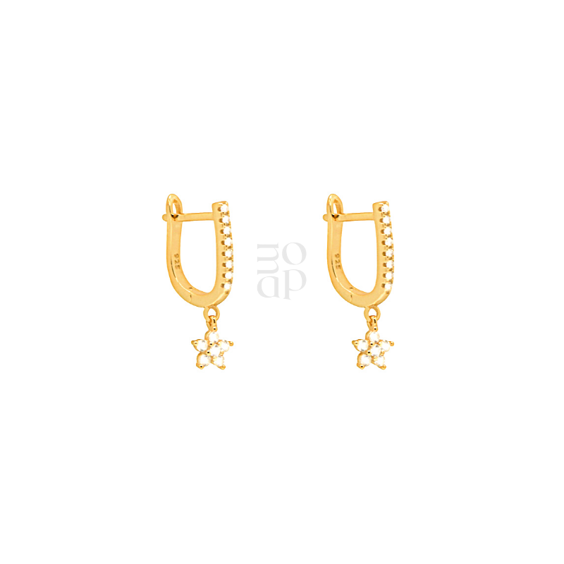 Apmo Cubic Zirconia Latch Back Earrings (Gold)